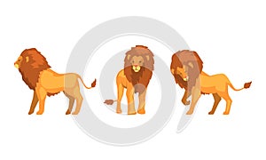 Proud Powerful Lion Character as King of Animal with Brown Mane Vector Set