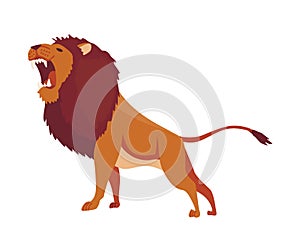 Proud powerful lion character. King of animal. Cartoon cute wild cat growls. Isolated vector Illustrations on a white