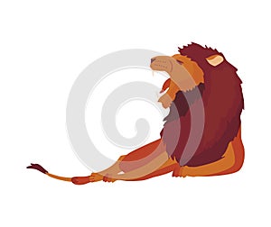 Proud powerful lion character. King of animal. Cartoon cute wild cat is lying. Isolated vector Illustrations on a white