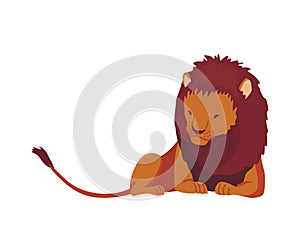 Proud powerful lion character. King of animal. Cartoon cute wild cat is lying. Isolated vector Illustrations on a white