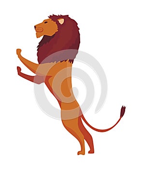 Proud powerful lion character. King of animal. Cartoon cute wild cat standing. Isolated vector Illustrations on a white