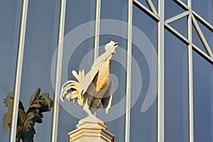 Proud rooster on a pedestal