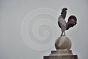 Proud rooster on a pedestal