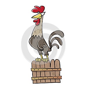 Proud rooster standing on a fence