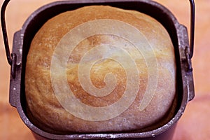 Proved dough of rye and leaven close-up
