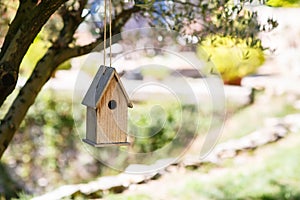 Provencal garden of small typical town in Provence, France. Beautiful village, with french cute details.