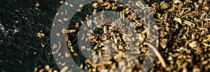 Provencal spices mix closeup on luxury stone background as flat lay, dry food spices and recipe ingredient