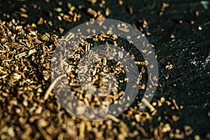 Provencal spices mix closeup on luxury stone background as flat lay, dry food spices and recipe ingredient