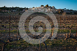 The provencal village of Joucas in the luberon national park  with vineyard in the forground in late winter , provence ,vaucluse ,