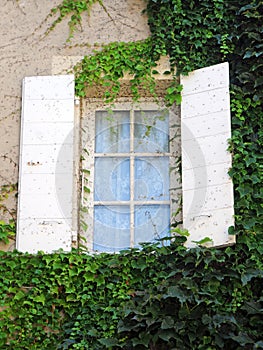Provencal window