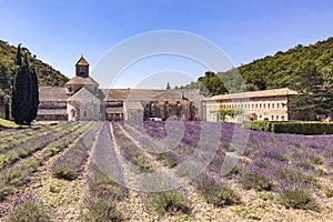 Provence famous scenic of Senanque. Histroic place in a valley with lavender field