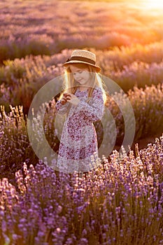 Provence. field of lavender. little girl Sunset.