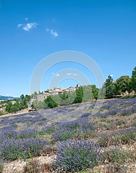 Provence,France