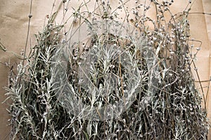 Provence herbs top view lavender on garay wooden table photo