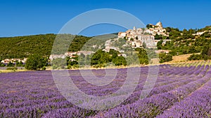 The Provence village of Simiane-la-Rotonde in summer with lavender filed. Alpes-de-Hautes-Provence, France photo
