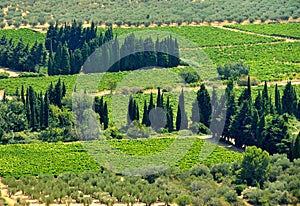 Provence landscape