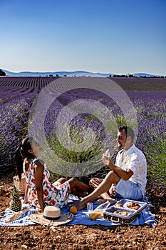 Provence, Lavender field at sunset, Valensole Plateau Provence France blooming lavender fields