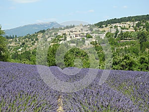 Provence Living with the Aroma of Lavender