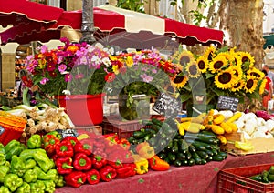 Provence market photo