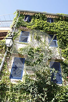 Provence's house covered by ivy