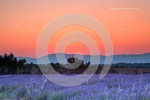 Provence sunrise