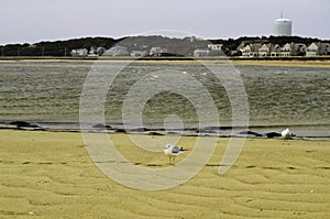 Provence town Cape Cod beach view