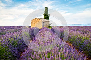 Provence, Valensole Plateau