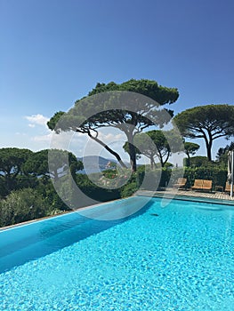 Provence view pine trees