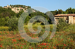 Provence village and poppies