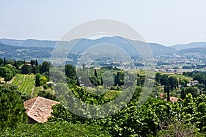 ProvenÃÂ§al Landscape