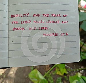 Proverbs 22:4 Hand written Bible verse