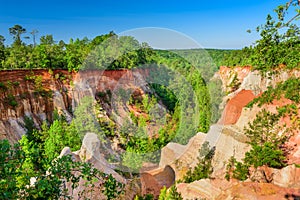 Providence Canyon, Georgia