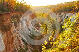 Providence Canyon Rim