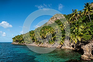 Providencia smaller island Santa Catalina rocky palm tree coast