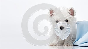 Providing tips for caring: Quarantine pet care guides.AI Generated