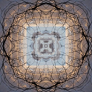 Provincial spring workdays - bare branches of a tree against a cloudy sky - pattern, square