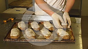 Proving dough of bran in basket. Private Bakery. Production bread.