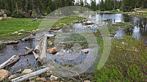 Provo river landscape in Uinta Wasatch national forest