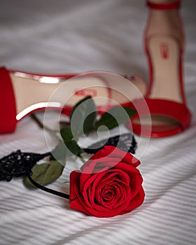 provocative red stiletto heels and red rose lie on sheet photo