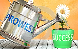 Prowess helps achieving success - pictured as word Prowess on a watering can to symbolize that Prowess makes success grow and it