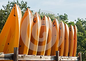 Prows or front of many plastic kayaks or canoes photo