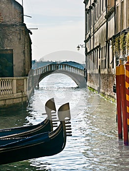 Prows of two gondolas in Venice photo