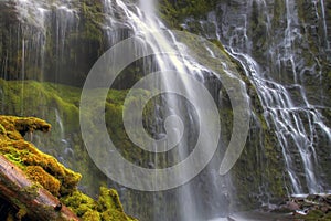 Proxy Falls