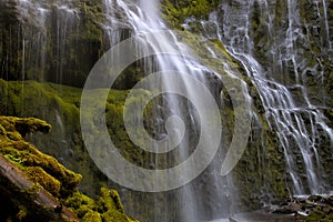 Proxy Falls Closeup in Oregon