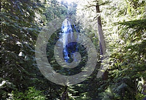 Proxy Falls, Columbia River Gorge Scenic Area, Oregon, United States