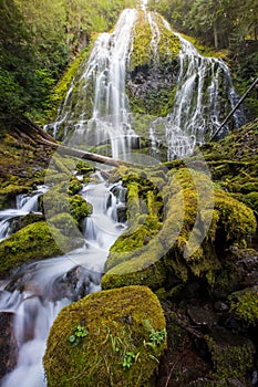 Proxy falls and mossy logs in Oregon