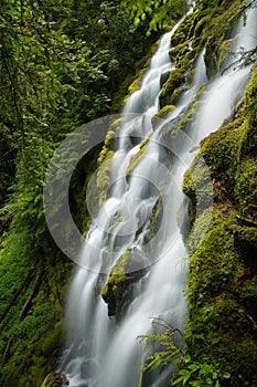 Proxy falls, Oregon