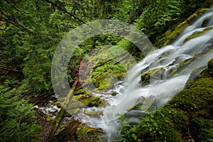 Proxy falls, Oregon img