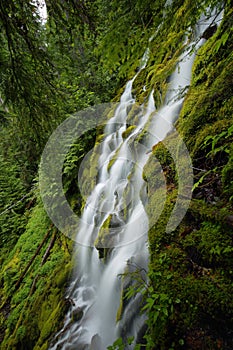 Proxy falls, Oregon