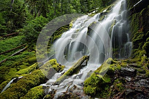 Proxy falls, Oregon img